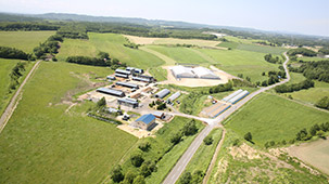 (有)厚真ファームを設立